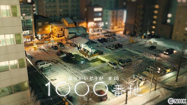 ほっかいどうが「1000番地」