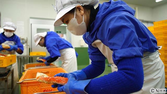 ほっかいどうが「さるるの海の彼女たち」