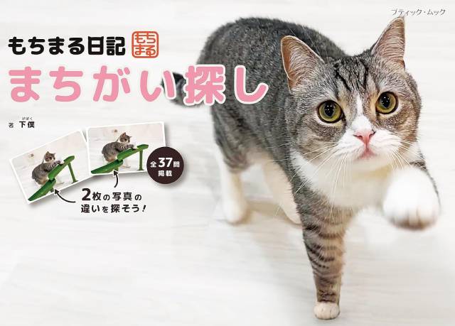 累計30万部超も！ なぜ「ねこのまちがい探し」は大ヒットしているのか？ 新本命は“推しネコ活”までできるって本当!?