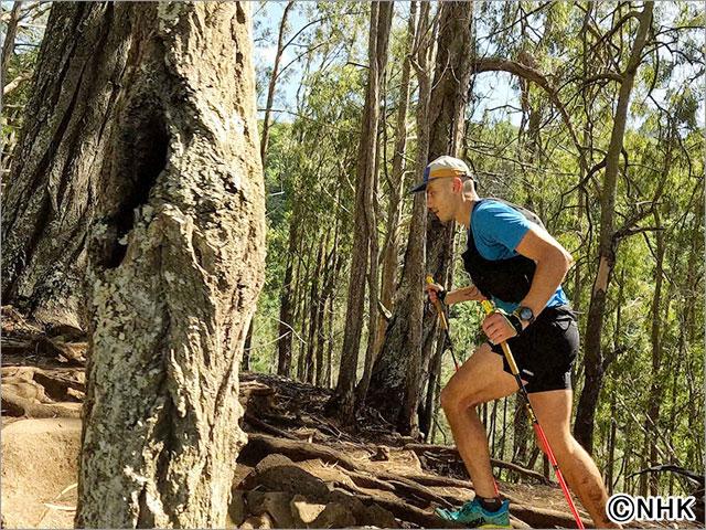 グレートレース