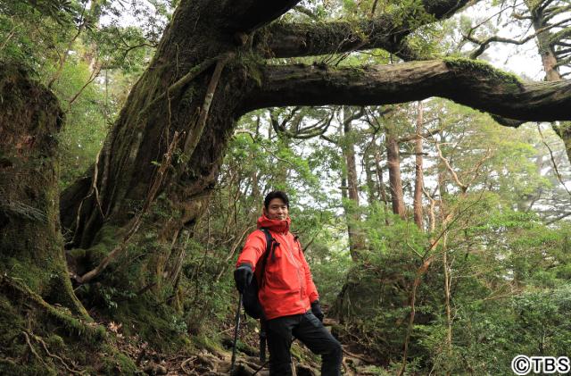 鈴木亮平「世界遺産が好きだからこそ魅力を伝えたい！」――「世界遺産」ナビゲーター就任インタビュー