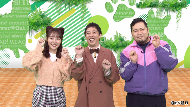 テレビ史上初（!?）の情報番組「ネコいぬワイドショー」で松井ケムリのネコ愛さく裂！