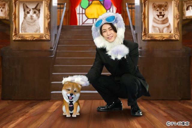 テレ東初MCの亀梨和也「ワンにゃフル物語」にビーグル犬として登場! 愛犬との距離に野望!?