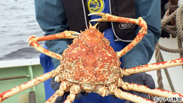 「海だけスクープバラエティ ウナバラ！」で遠藤憲一がMCに挑戦！　腕前に山里亮太が嫉妬!?