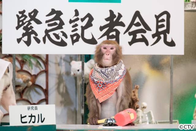 動物が記者会見?　秋山竜次＆伊集院光「人間研究所」初のSPを前にカオストーク！