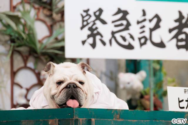 動物が記者会見?　秋山竜次＆伊集院光「人間研究所」初のSPを前にカオストーク！