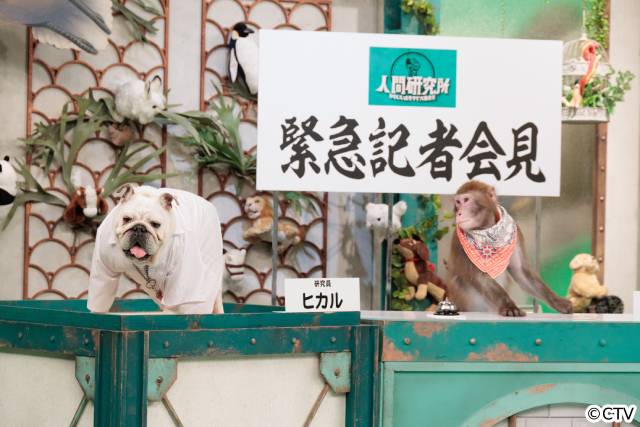動物が記者会見?　秋山竜次＆伊集院光「人間研究所」初のSPを前にカオストーク！