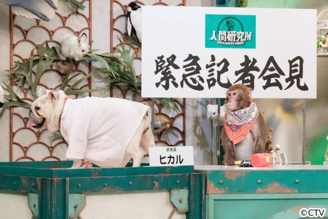 動物が記者会見?　秋山竜次＆伊集院光「人間研究所」初のSPを前にカオストーク！