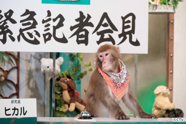 動物が記者会見?　秋山竜次＆伊集院光「人間研究所」初のSPを前にカオストーク！