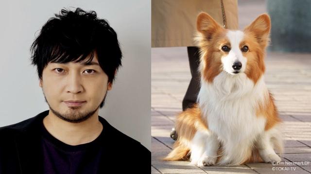 原田泰造主演「おっパンSP」の放送前にコメント到着「“おっパンワールド”を心ゆくまで満喫して！」