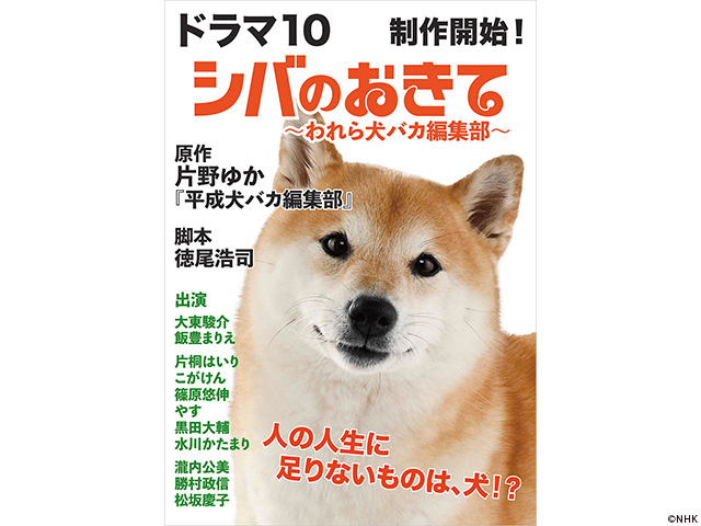 【2025年秋ドラマガイド】ドラマ10「シバのおきて~われら犬バカ編集部~」 【2025年秋ドラマガイド】ドラマ10「シバのおきて~われら犬バカ編集部~」