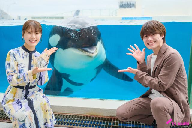 「リベンジ・スパイ」大橋和也&渋谷凪咲、水族館ロケでも抜群の掛け合い! 元気の素はアイス!?