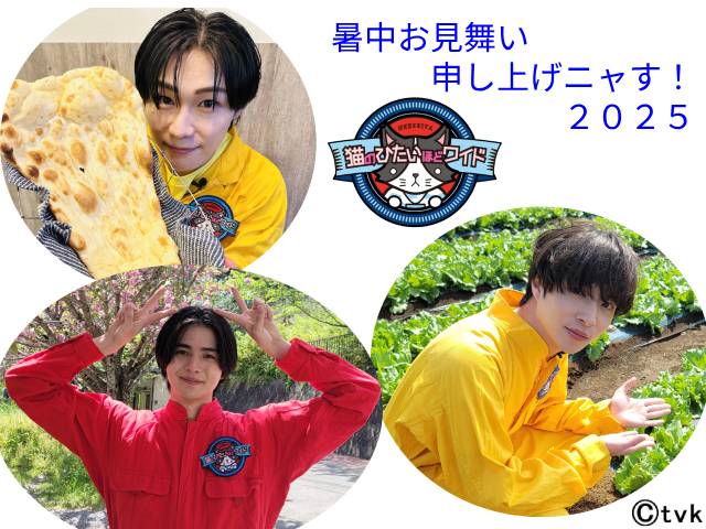 tvk「猫ひた」新メンバーの石原知哉、赤羽流河、松永有紘から暑中見舞いが到着！