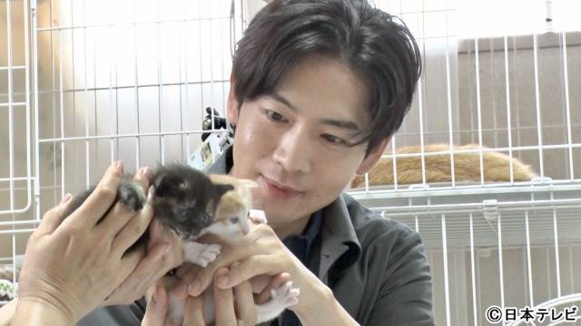 有働由美子“ミルクボランティア”に初挑戦「みんなの動物園」で松下洸平と赤ちゃんネコを支える