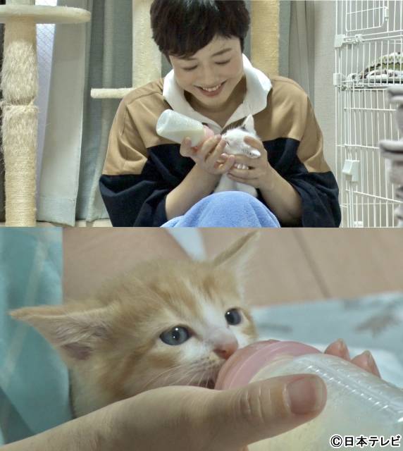 有働由美子“ミルクボランティア”に初挑戦「みんなの動物園」で松下洸平と赤ちゃんネコを支える