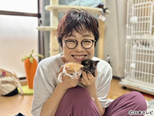 有働由美子“ミルクボランティア”に初挑戦「みんなの動物園」で松下洸平と赤ちゃんネコを支える