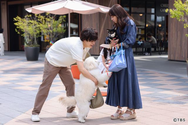清原果耶×成田凌×ナ・イヌ共演！　ワンコがつなぐ恋「初恋DOGs」開幕