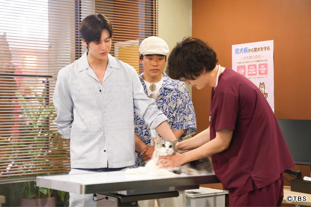 清原果耶×成田凌×ナ・イヌ共演！　ワンコがつなぐ恋「初恋DOGs」開幕