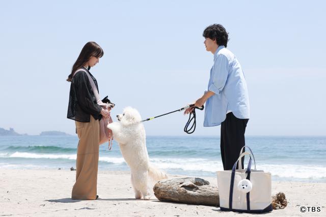 「初恋DOGs」第3話。快（成田凌）は初恋の相手…？　愛子（清原果耶）が快に過去を告白！