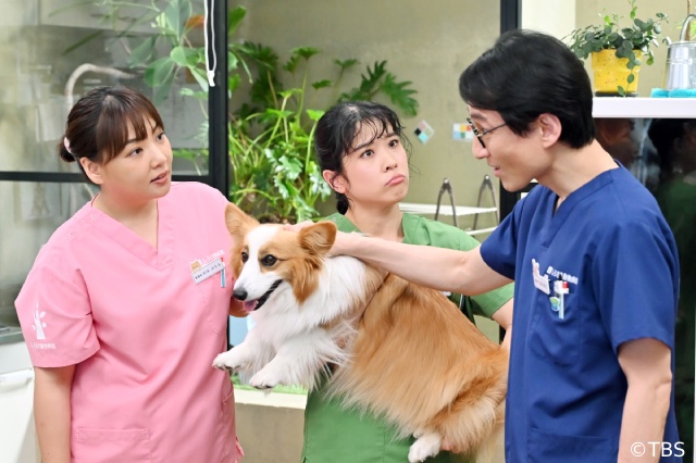 「初恋DOGs」萩原利久主演のサイドストーリーがTVerほかで無料配信！