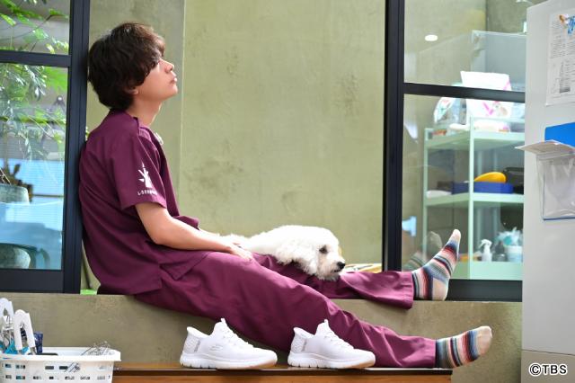 「初恋DOGs」第5話。快（成田凌）の“過去の恋”に愛子（清原果耶）が揺れる