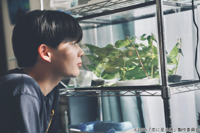 長尾謙杜のピュアな表情に胸キュン「恋に至る病」新場面写真3点が公開