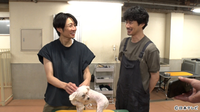 「嗚呼!!みんなの動物園」相葉雅紀＆竹野内豊が100匹目の保護犬をトリミング
