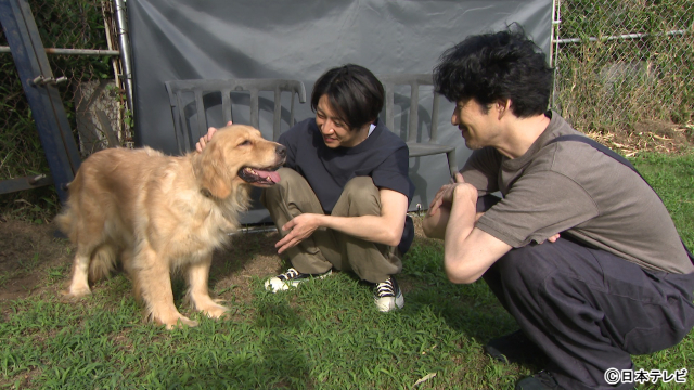 「嗚呼!!みんなの動物園」相葉雅紀＆竹野内豊が100匹目の保護犬をトリミング
