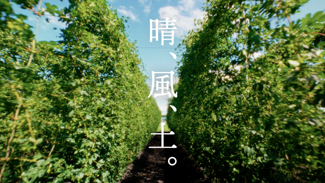 目黒蓮「晴れ風」CMロケで収穫体験「飲み方が変わる気がします」と晴れやかな表情に！