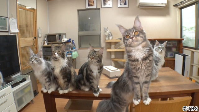 ROIROM・本多大夢＆浜川路己が「動物スクープ100連発」のヤンチャ犬に涙ポロリ!?