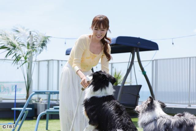 「初恋DOGs」ドッグカフェの“愛され店長”役・深田恭子が語る現場の癒やしと楽しみ