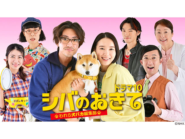 【2025年秋ドラマガイド】ドラマ10「シバのおきて～われら犬バカ編集部～」