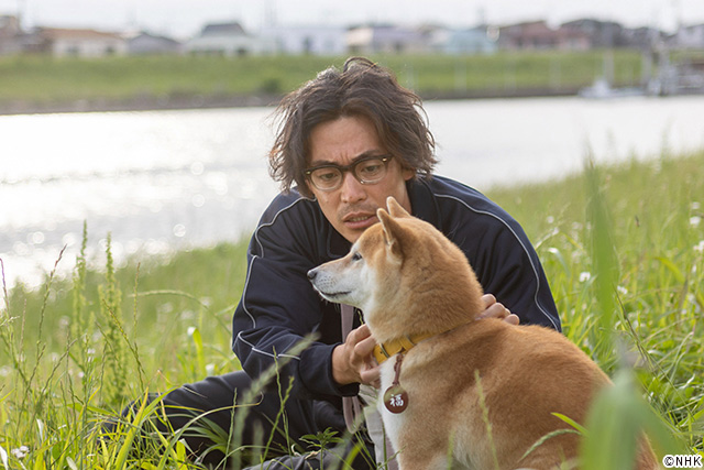 ドラマ10「シバのおきて～われら犬バカ編集部～」 | TVガイドWeb