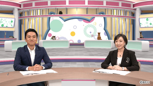 愛猫家必見！　BS11で特別番組「にゃなか放送局 ネコまちジャーナル」を放送