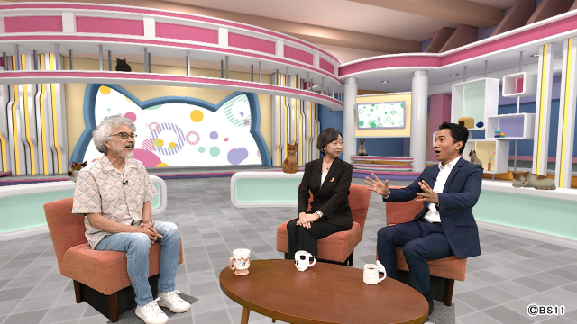 愛猫家必見！　BS11で特別番組「にゃなか放送局 ネコまちジャーナル」を放送