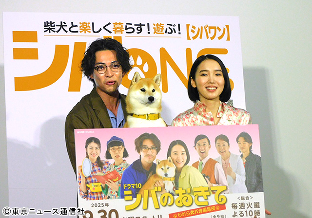 大東駿介＆飯豊まりえ、柴犬にメロメロ！　柄本時生が声に決まり「なでにくくなった（笑）」