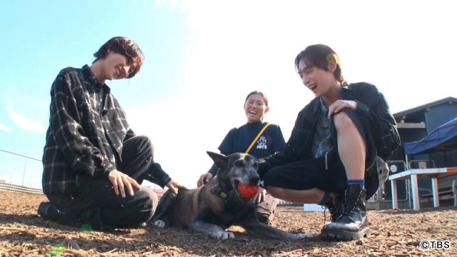 ROIROMが活躍犬に感謝を届ける新企画「動物スクープ100連発」で心温まる展開に