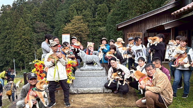 「シバのおきて」主演の大東駿介が11月22日“柴犬の聖地”島根・益田市へ