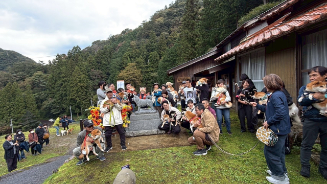 「シバのおきて」主演の大東駿介が11月22日“柴犬の聖地”島根・益田市へ
