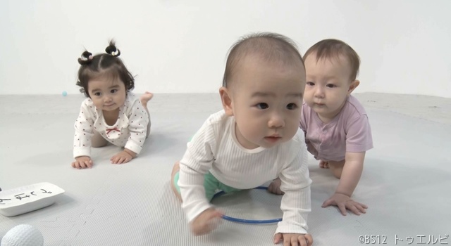 あの話題に興味津々!?　赤ちゃんの心の声が聞こえる「ベビアカ」BS12で放送開始