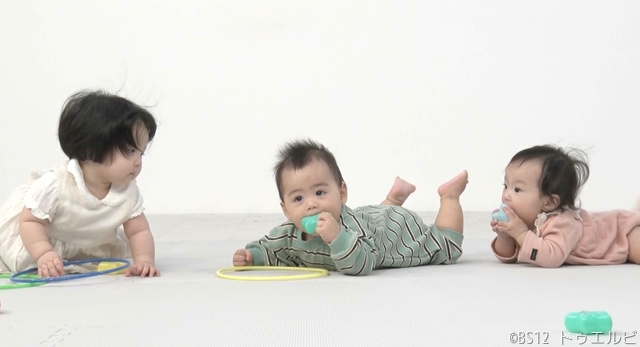 あの話題に興味津々!?　赤ちゃんの心の声が聞こえる「ベビアカ」BS12で放送開始