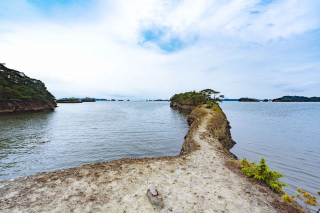 “100年続くお祭りを”宮城県利府町に新たな風。第1回「利府うまうま祭」初開催