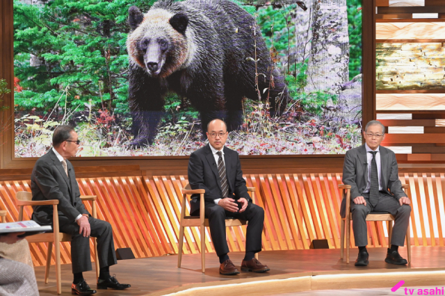 列島を震撼させるクマ被害「タモリステーション」でその歴史と対策を徹底検証