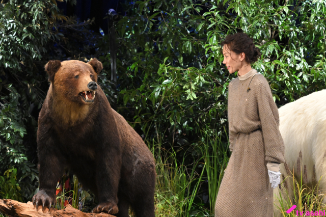 列島を震撼させるクマ被害「タモリステーション」でその歴史と対策を徹底検証