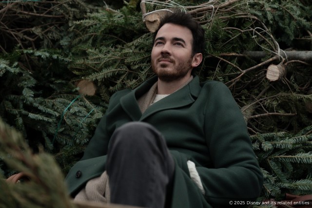 デビュー20周年のジョナス・ブラザーズによるクリスマス映画がディズニープラスで配信