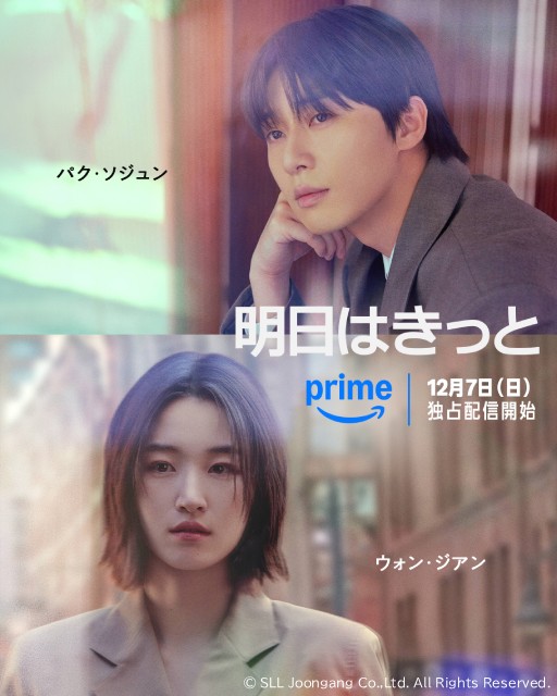 「人間標本」「#真相をお話しします」ほか話題作が多数【Prime Video12月新着作品】