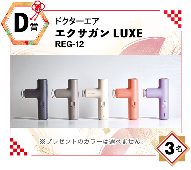 D賞:ドクターエア「エクサガン LUXE」REG-12 D賞:ドクターエア「エクサガン LUXE」REG-12/3名
