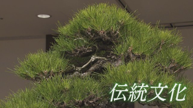 1時間の生放送で埼玉の1年を振り返る！　年末報道特別番組「埼玉この1年」をテレ玉で放送