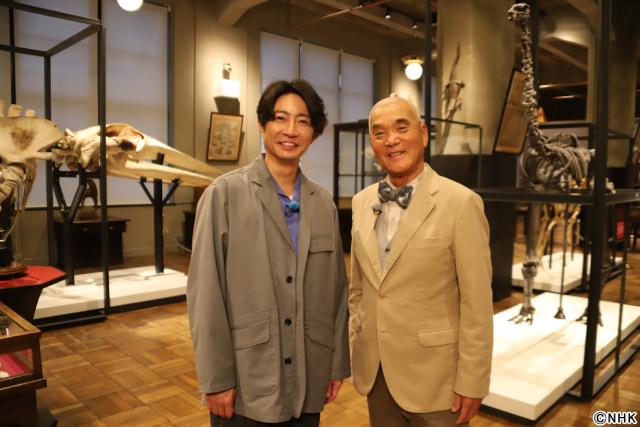 相葉雅紀×岩合光昭「ダーウィンが来た!」年末SP。生態系復活劇の裏側に迫る