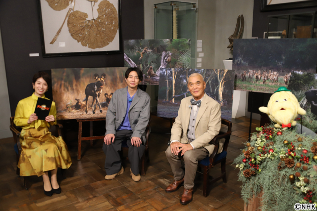 相葉雅紀×岩合光昭「ダーウィンが来た!」年末SP。生態系復活劇の裏側に迫る